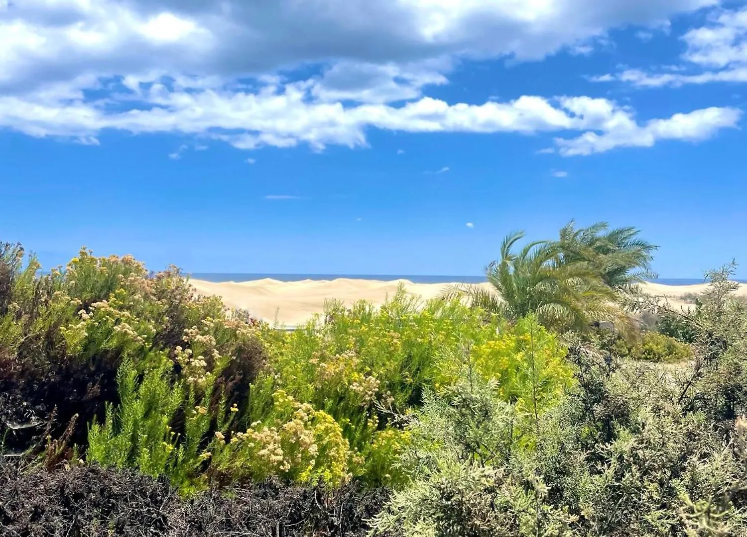 Moon Dunes Apartment - By Yumbo Center - Playa Del Ingles